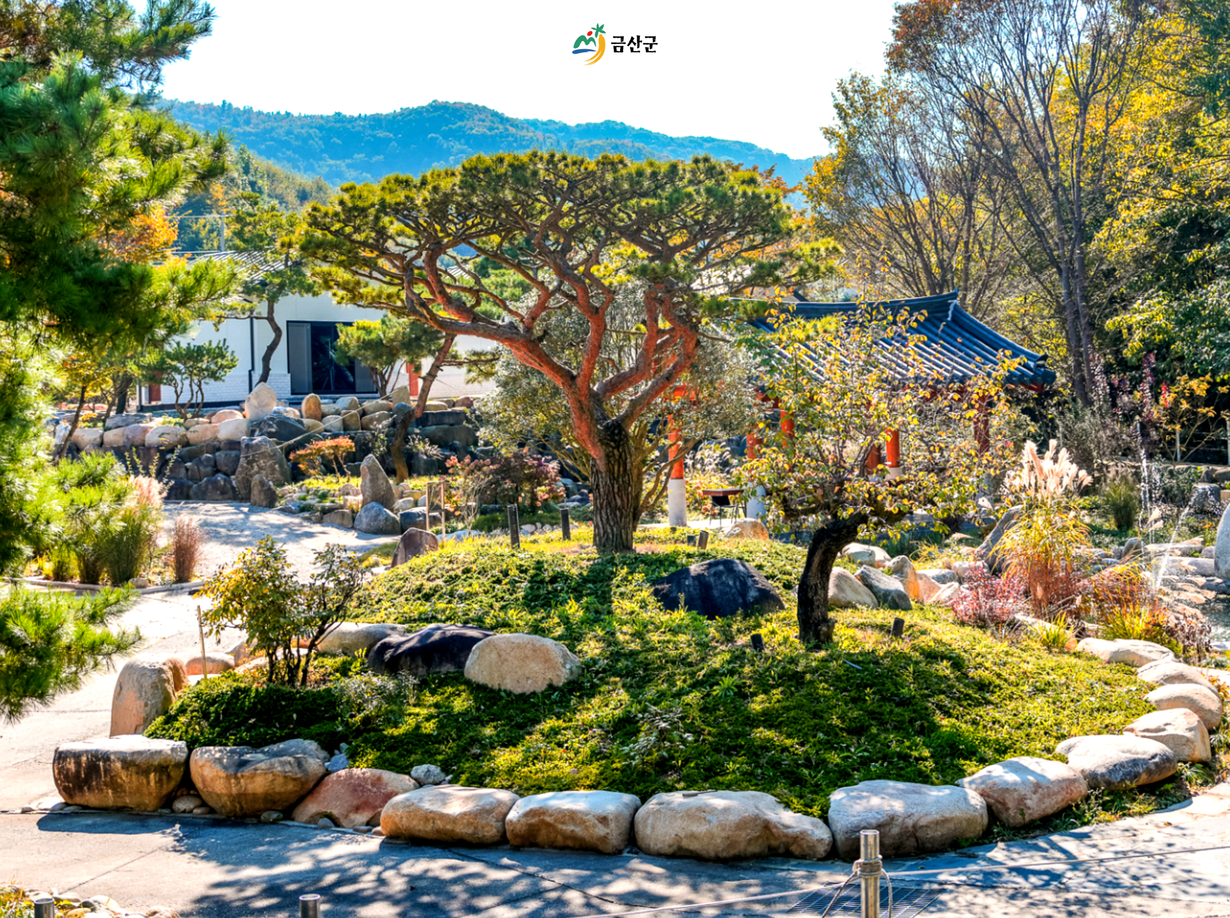 카페 정원 - 소나무와 산 풍경