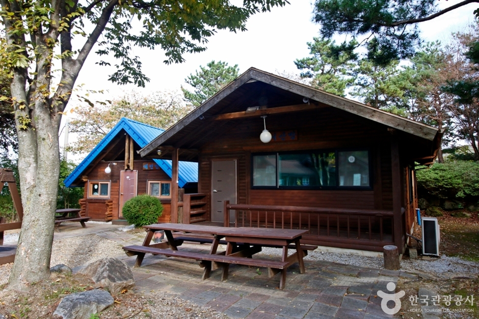 대둔산 자연휴양림 - 숲속 통나무집